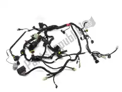 Here you can order the wiring harness from Ducati, with part number 51017261A: