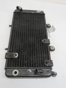 aprilia AP8102197 radiator - Right side