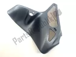 Here you can order the side panel radiator protection from Aprilia, with part number AP8168227: