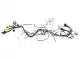 Wiring harness complete Aprilia AP8124691