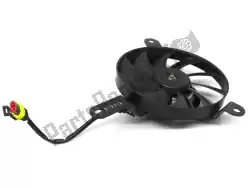 Here you can order the radiator blower l from Ducati (Panasonic), with part number 55040351A: