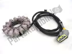 Here you can order the coil (stator) from Ducati, with part number 26420541A: