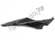 Side fairing Kawasaki 550595129660