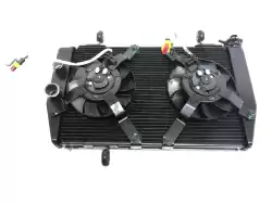 Here you can order the radiator complete blowers from Ducati (Alexon), with part number 54810563A:
