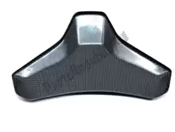 Here you can order the backrest from Ducati, with part number 59510911A: