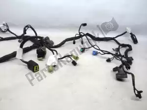 kawasaki 260310670 wiring harness - Left side