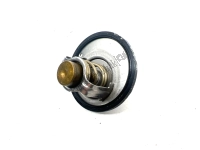 1767005A01, Suzuki, Thermostat, Utilisé