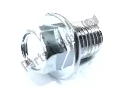 Here you can order the bolt from Honda, with part number 90131896650: