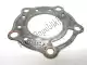 Cylinder head gasket Aprilia AP8600002