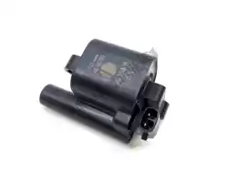 Here you can order the ignition coil from Ducati, with part number 38010151A: