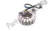 Coil (stator) Ducati 26420501B