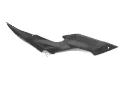 Here you can order the side panel from Ducati, with part number 48211561AA: