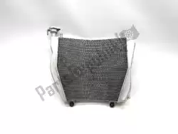 Here you can order the radiator from Ducati (Alexon), with part number 54811355A: