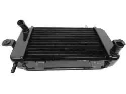 Here you can order the radiator from BMW, with part number 17117666804: