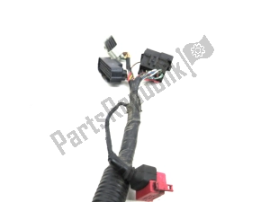 Honda 32100MBWD20 wiring harness - Right side