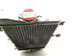 suzuki 1771010G00 radiateur - Midden