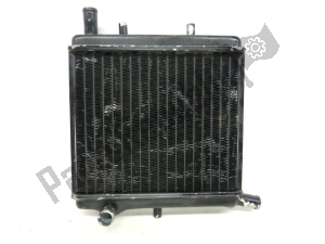 aprilia AP8201476 radiator - Lower part