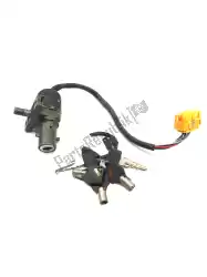 Here you can order the ignition locks from BMW, with part number 51252329079: