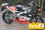 Others for the Aprilia RS 125 Tuono  - 1999