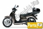 Others for the Aprilia Scarabeo 200 GT - 2006