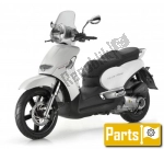 Aprilia Scarabeo 300  - 2009 | Tutte le ricambi