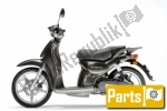 Others for the Aprilia Scarabeo 500  - 2006