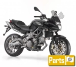 Aprilia Shiver 750 SL - 2010 | Alle onderdelen