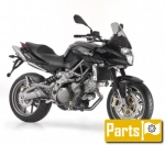 Aprilia Shiver 750 GT - 2013 | Alle onderdelen