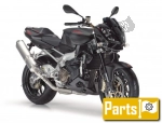 Aprilia Tuono 1000 Factory R - 2011 | Alle onderdelen