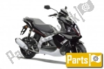 Options and accessories for the Derbi GP1 250  - 2007