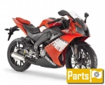 Derbi GPR 50 Racing  - 2013 | Toutes les pièces