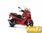 Others for the Gilera Nexus 300 I - 2009