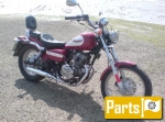 Options and accessories for the Honda CA 125 Rebel  - 1999