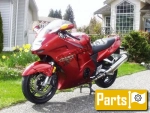 Honda CBR 1100 Super Blackbird XX - 1998 | All parts