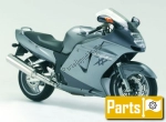 Honda CBR 1100 Super Blackbird XX - 2007 | Alle onderdelen