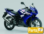 Options and accessories for the Honda CBR 125 RW - 2007