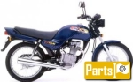 Honda CG 125  - 1998 | Alle onderdelen