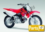 Honda CRF 50 F - 2009 | Wszystkie części