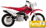 Wiring para el Honda CRF 70 F - 2005