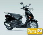 Casual clothing for the Honda NHX 110 Lead  - 2010