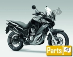 Honda NSA 700 DN-01 A - 2009 | Todas as partes