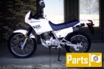 Honda NX 125 Transcity  - 1989 | All parts