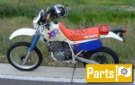 Oils, fluids and lubricants for the Honda XR 600 R - 1992