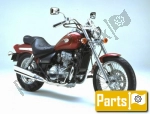 10w 40 per il Kawasaki EN 500 C - 2002