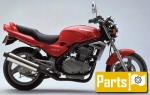 Kawasaki ER 500 Twister B - 1999 | Tutte le ricambi