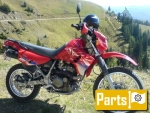 Opcje i akcesoria dla Kawasaki KLR 650 C - 1995