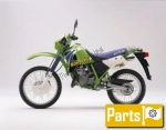 Kawasaki KMX 125 B - 1999 | Tutte le ricambi