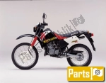 Opciones y accesorios para el Kawasaki KMX 125 B - 2001