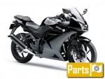 Kawasaki Ninja R 250 EX 250 K - 2009 | Tutte le ricambi