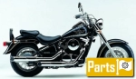 Options and accessories for the Kawasaki VN 800 Classic B - 2003